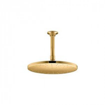 10 in. Contemporary Round Rainhead in Vibrant Moderne Polished Gold