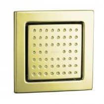 WaterTile Square 54-Nozzle Single-Function 4-7/8 in. Raincan Body Sprayer in Vibrant French Gold