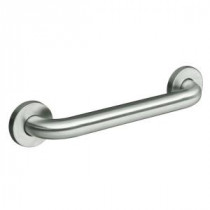 Contemporary 12 in. Concealed-Screw Grab Bar in Brushed Stainless-Steel