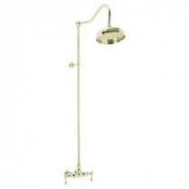 Wall-Mount Exposed 2-Handle Shower Faucet in Polished Brass