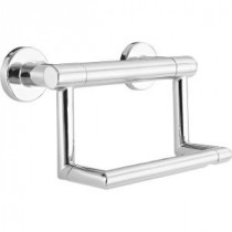 Decor Assist Contemporary Double Post Toilet Paper Holder with Assist Bar in Chrome