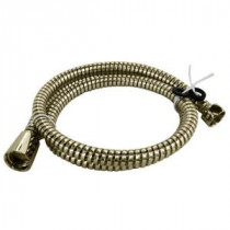 72 in. Plastic Hand Shower Hose and Washers, Polished Brass