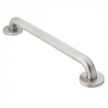 Home Care 42 in. x 1-1/4 in. Concealed Screw Peened Grab Bar in Stainless