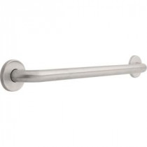 24 in. x 1-1/4 in. Concealed Mounting Grab Bar in Stainless