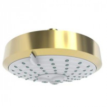 5-Spray 6 in. Contemporary Showerhead in Forever Brass