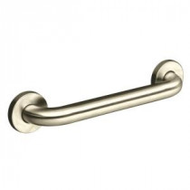 Contemporary 12 in. Concealed Screw Grab Bar in Vibrant Brushed Nickel