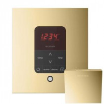 iTempo Plus Control with AromaSteam Steam Head Square for Steam Bath Generator in Polished Brass