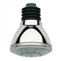 Movario 5-Spray 4 in. Showerhead in Sterling Infinity