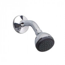 1-Spray 3 in. Easy-Clean Showerhead in Polished Chrome