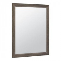 Shaila 24 in. W x 31 in. L Single Framed Mirror in Silverleaf