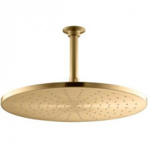 1-Spray 14 in. Contemporary Raincan Round Showerhead with Katalyst Spray in Vibrant Moderne Brushed Gold