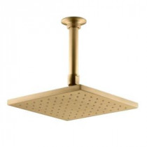 1-Spray 8 in. Contemporary Square Rain Showerhead in Vibrant Moderne Brushed Gold