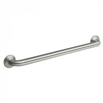 Traditional 32 in. x 2.8125 in. Concealed Screw Grab Bar in Brushed Stainless