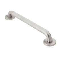 Home Care 18 in. x 1-1/4 in. Concealed Screw Peened Grab Bar in Stainless