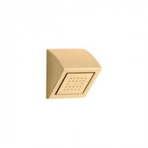 WaterTile 1-Spray Showerhead in Vibrant Modern Brushed Gold