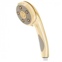 Anystream Napa 3-Spray Hand Shower in Polished Brass