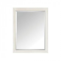 Thompson 24 in. W x 30 in. H Single Framed Mirror in French White