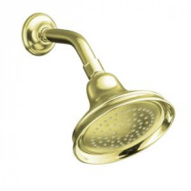 Bancroft 1-Spray Katalyst Showerhead in Vibrant French Gold