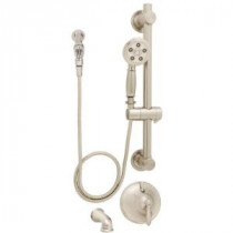 Alexandria ADA Handheld Shower and Tub Combinations with Grab Bar in Brushed Nickel