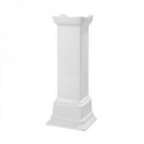 Structure Suite Pedestal Lavatory Leg in White