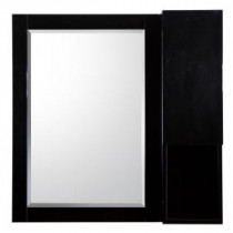 Esley 28 in. L x 28 in. W Wall Hung Mirror in Gloss Black with Side Shelf