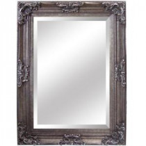 35 in. x 46 in. Rectangular Decorative Antique Wood Resin Framed Mirror