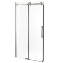 48 in. x 72 in. Semi-Framed Sliding Shower Door in Stainless