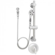 Caspian ADA Handheld Shower Combinations with Grab Bar in Polished Chrome