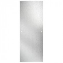 48 in. x 67 in. Sliding Shower Door Glass Panel in Rain
