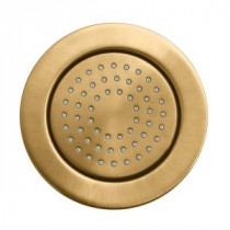 WaterTile 4.875 in. 1-Spray 54-Nozzle Round Body Sprayer in Vibrant Brushed Bronze