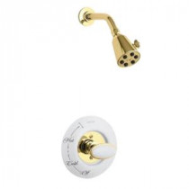 Antique 1-Handle Shower Faucet Trim in Vibrant Polished Brass