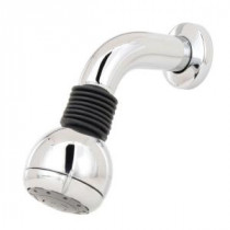 Water Harmony 2-Spray 4 in. Fixed Shower Head with Arm and Flange in Chrome