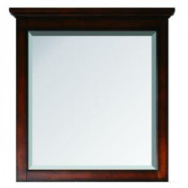 Tropica 31 in. x 32 in. Beveled Edge Single Mirror in Antique Brown
