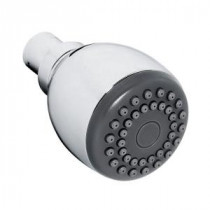 Spotclean 2-Spray 4 in. Showerhead in Polished Chrome