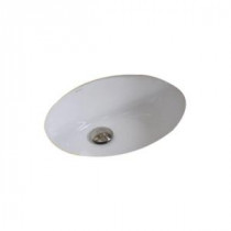 19.5-in. W x 16.25-in. D CUPC Certified Oval Undermount Sink In White Color