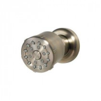 1/2 in. Thermostatic Shower Body Side Spray in Brushed Nickel