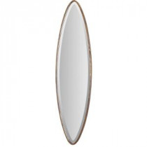 46 in. x 12 in. Antique Gold Oval Framed Mirror