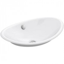 Iron Plains Vessel Sink in White with Painted Underside