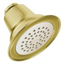 1-Spray Easy Clean XLT 3-3/8 in. Showerhead in Polished Brass