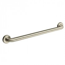 Contemporary 24 in. Concealed Screw Grab Bar in Vibrant Brushed Nickel