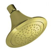 Forte 1-Spray Katalyst Showerhead in Vibrant French Gold