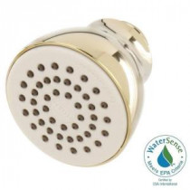 Eco-Performance 1-Spray 2-1/2 in. Showerhead in Polished Brass