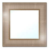 18-1/2 in. W x 18-1/2 in. H Polystyrene Framed Mirror