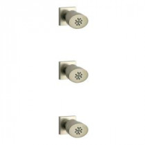 Lady 3-Piece Body Jets in Brushed Nickel