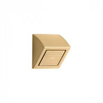 WaterTile 1-Spray Showerhead in Vibrant Modern Brushed Gold