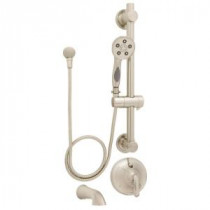 Caspian ADA Handheld Shower and Tub Combinations with Grab/Slide Bar in Brushed Nickel