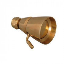 1-Spray 2-1/4 in. Traditional Showerhead in Polished Brass