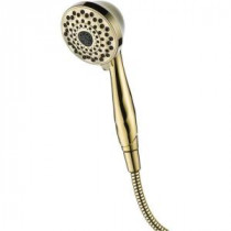 7-Spray Touch-Clean Hand Shower in Polished Brass