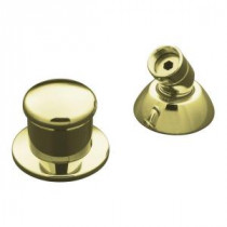 Two-Way Diverter Valve and Handshower Hose Guide in Vibrant French Gold
