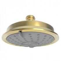5-Spray 6 in. Traditional Showerhead in Forever Brass